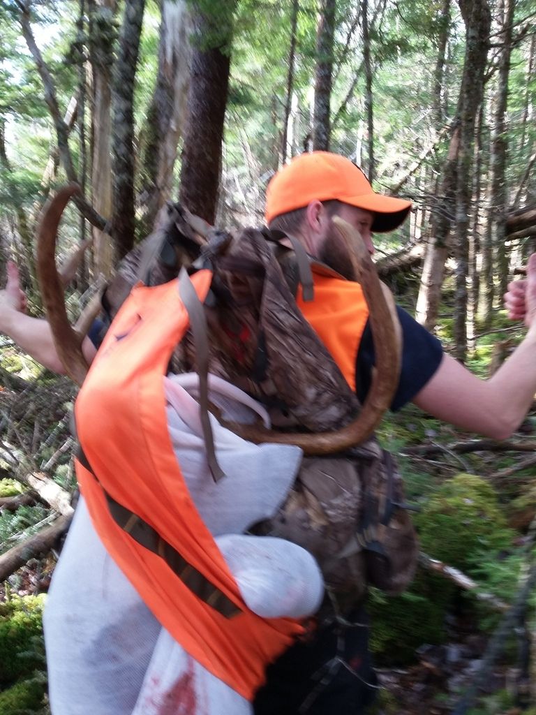 2017 Deer Hunting Success Page 8 Deer Hunting Nova Scotia Hunting